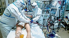 Neandertálské geny, které si v sob� neseme, promluvily i do...