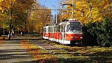 Je otázkou, zda se vrátí tramvaj zp�t do Stromovky �i ne.
