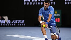 Novak Djokovi� b�hem semifinálového utkání na Australian Open.