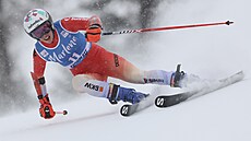 výcarská lyaka Michelle Gisinová bhem obího slalomu v Kronplatzu