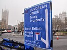 Protivládní protest ve Westminsteru (25. ledna 2023)