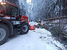 Hasiči odstraňovali zlámané stromy ze silnice vedoucí na Šerlich. (30. ledna...