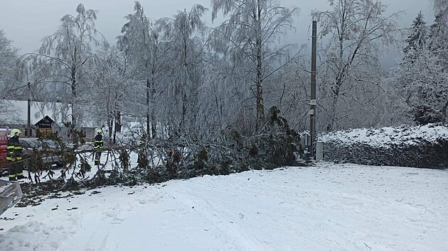 V okolí Deštného hasiči odstraňovali zlámané stromy. (30. ledna 2023)
