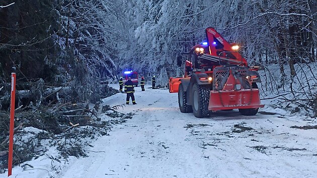 Hasiči odstraňovali zlámané stromy ze silnice vedoucí na Šerlich. (30. ledna 2023)