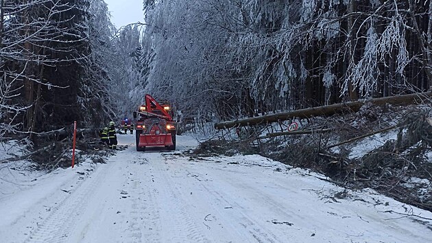 Hasii odstraovali zlman stromy ze silnice vedouc na erlich. (30. ledna 2023)