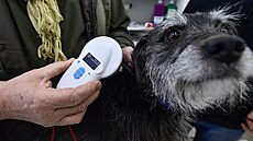 Kontrola o�ipovaného psa (20. ledna 2020)