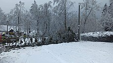 V okolí Detného hasii odstraovali zlámané stromy. (30. ledna 2023)