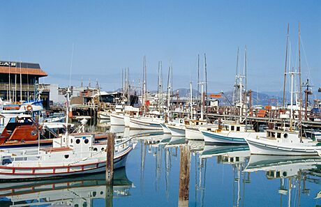 Fishermans Wharf na severním nábeí v San Fransisku. Práv u vody, na pobeí...
