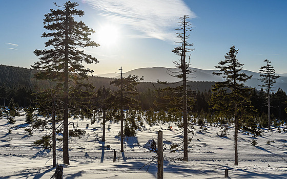 ilustra�ní snímek