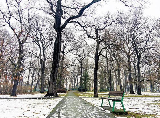 Pro největší a nejstarší městský park Petra Bezruče v Bohumíně radní plánují na...