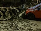 Hasii odstranili v Praze v Hostivai strom, který spadl na zaparkované auto....