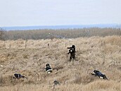 Ruští vojáci na cvičení v Belgorodské oblasti u hranic s Ukrajinou (6. prosince...