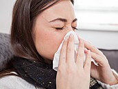 Ilustraní fotografie