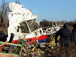 Trosky havarovaného letounu MH17 u vesnice Grabovo v Doncké oblasti. (20....