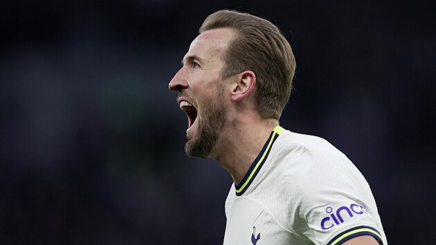 tonk Harry Kane se raduje ze svho dvoustho glu v anglick lize.