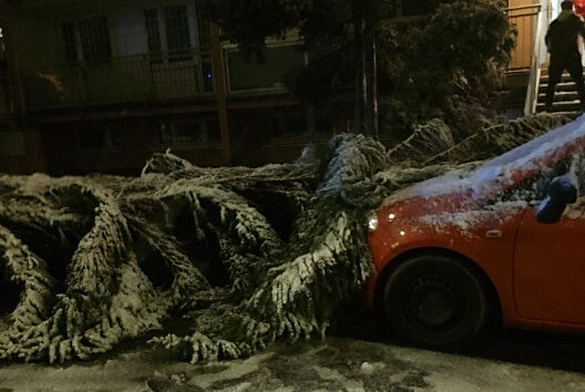 Hasiči odstranili v Praze v Hostivaři strom, který spadl na zaparkované auto. (1. února 2023)
