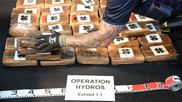 Drogov� pa�er�ci u��vaj� odlehlou ��st Tich�ho oce�nu pr�v� pro tento ��el. (8. �nora 2023)