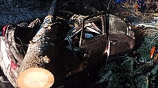 Hasiči Pardubického kraje odstraňovali strom, který spadl na auto. (3. února... | na serveru Lidovky.cz | aktuální zprávy