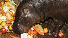 Hro�ice Blanka. (24. ledna 2012)