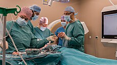 V Baťově nemocnici ve Zlíně nahradili lékaři část čelistní kosti implantátem...