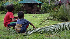 Filipínské dti na lovu kokosových oech