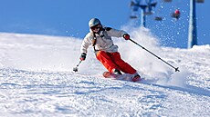 ilustra�ní snímek