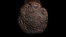 Slon africký objektivem Martina Veselého