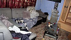 Ve vazb� skon�ilo sedm lidí, kte�í se na Doma�licku  zam��ili na sexuchtivé...