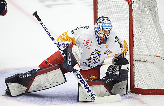 Pozorný gólman Ale Stezka v brance národního týmu bhem utkání védských...