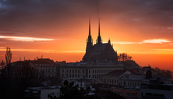Katedrála svatého Petra a Pavla v Brn