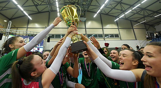 Volejbalisty KP Brno se radují z vítzství v eském poháru.