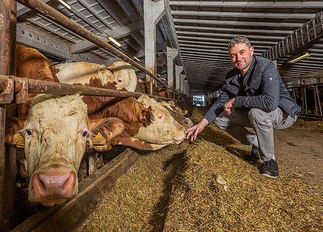 Rodinná farma bude moci být jen na tisícovce hektarů, má ji definovat zákon