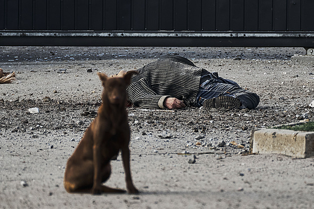 Neustupovat agresorovi a neeskalovat situaci. Rusko válkou na Ukrajině vlastně nic nezískalo
