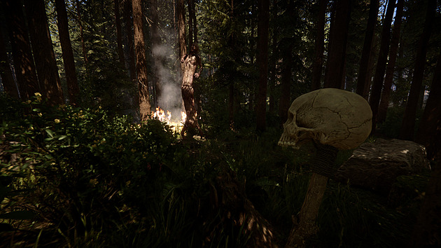 To bylo rychlé. Už první den prodali Sons of the Forest dva miliony kopií