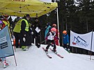 Cena skítka Ostruníka proví slalomové umní amatérských lya