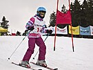 Cena skítka Ostruníka proví slalomové umní amatérských lya