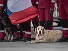 V Turecku operovali i kolení kinologové se psy. (17. února 2023)