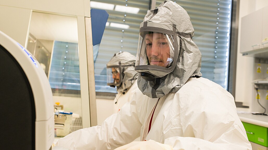 Virologové z Biologického centra AV R testují protilátky proti viru SARS-CoV-2...
