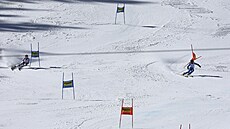 Martina Dubovská (vlevo) a Lara Della Meaová z Itálie v paralelním slalomu pi...