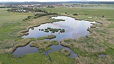 Nový rybník u obce Lín� na Plze�sku je vyhledávaným hnízdi�t�m kachen, rack�...