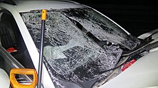 Nep�ipoutaného dev�ta�ty�icetiletého cizince náraz p�i havárii vymr�til z vozu,...