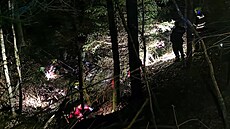 Traktor na severním Plzesku sjel do hluboké rokle, kde pevrácený stroj...