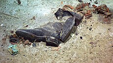 Pedmty nalezené u vraku Titaniku