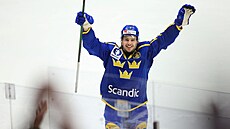 �véd Hardy Haman Aktell se raduje s gólu proti Fin�n na �védských hokejových...