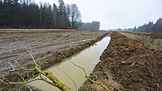 Kácení lesního porostu na budoucím dálniním úseku D35 Janov - Opatovec