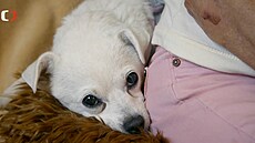 Pestoe podle paní Blanky je ivava Bleka velmi vstícná i k cizím lidem,...