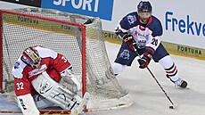Slovenský hokejista Richard Zedník objídí eskou branku.