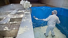 Olomoucké tvar��ky