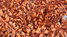 Fotografie po�ízená smartphonem Samsung Galaxy S23 Ultra