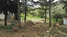 Pozemek p�vodn� p�ipomínal d�ungli. 